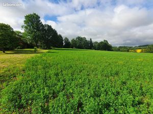 Terrain 640 m² Cadalen