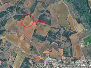 À vendre ou à prendre en fermage — Parcelle de vigne Grenache Blanc – AOC Saint-Chinian – 