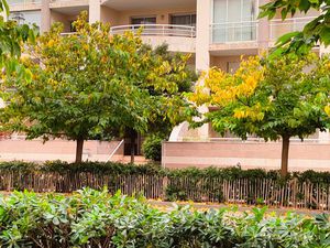 Vends appartement t 2 avec terrasse arrondie de 16 metres²