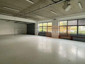 Local d'activité 394 m²