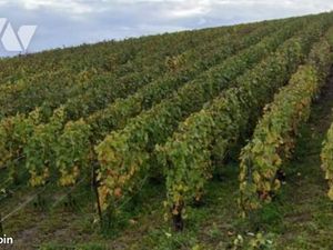 Terrain 2426 m² MARDEUIL