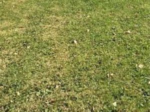 Santes terrains viabilisés libre de constructeur