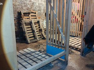 Loue grand box de 10m2