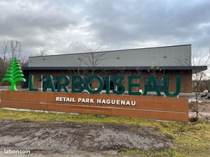 Local d’activité Haguenau