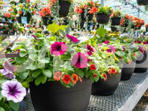 Fonds de commerce 1 m²