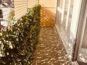 Nanterre & Puteau Rond point des Bergères & Limite Quartier Plateau / 3 pièces avec balcon