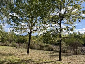 Terrain 550 m² Margaux Cantenac