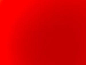 Chercher à louer terrain ou achat