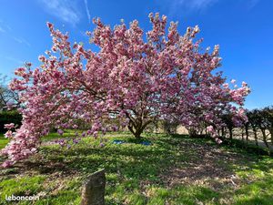 Ferme au carré - authenticité et charme préservés