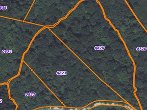 Vends bois / forêt 3 hectares