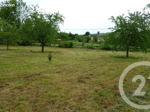 Terrain 1 901 m² Laffite Toupiere