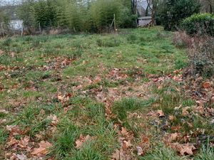 Terrain constructible