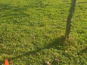 Terrain à Léguevin