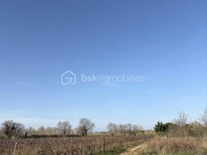Terrain agricole 30 676 m² Villelongue De La Salanque