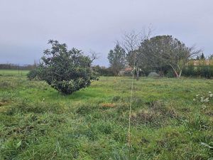 Terrain 1 478 m² Longages