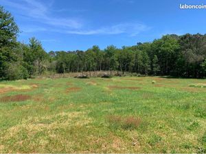 Recherche terrain constructible paisible