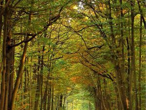 Recherche terrain de loisir