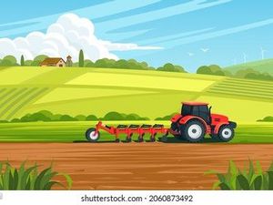 Terrain agricole pour investisseur