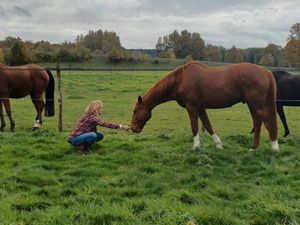 Recherche pré à louer