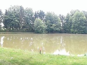 Vend étang de loisir et pêche