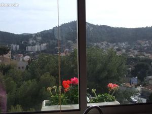 Appartement 1 pièce 25 m²