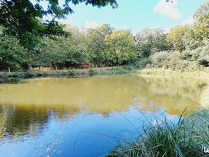 Terrain 10540 m² PAIMPONT