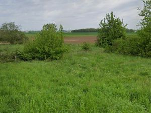 Terrain 1400mc dont 120 constructibles