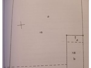 Terrain en nature de taillis