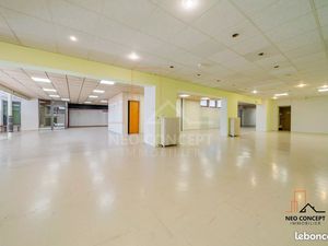 Local commercial 399 m² Drusenheim