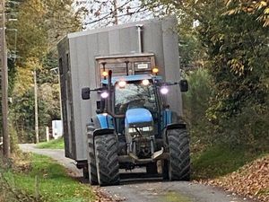 Tiny house XXL (agricole)