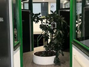 Bureaux à louer / 95 m² - Dijon 21000 · Quartier Montchapet