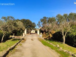 Propriété viticole 207 m²