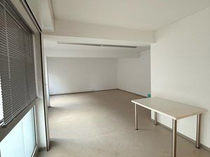 Local professionnel / garage fermé