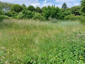 Terrain constructible + Hangar