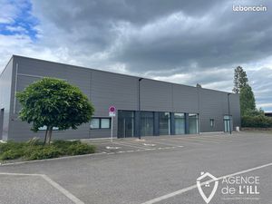 Local commercial 365 m² Colmar