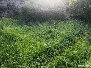 Terrain 500 m² Perigueux