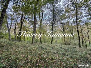 Forêt 82 016 m² Barbaste