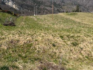 Terrain constructible Mercury