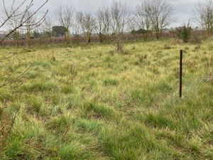 Loue terrain pour animaux