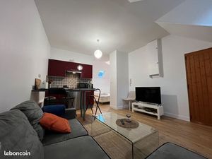 T1 bis de charme 30m² - Refait à neuf - Vieux Mans hyper centre