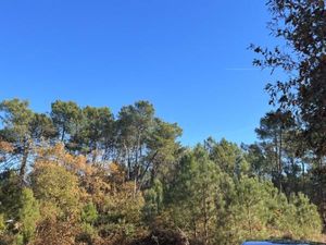Terrain 1 586 m² Le Pian Medoc
