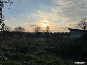 Terrain valognes pour chevaux / montons secteur