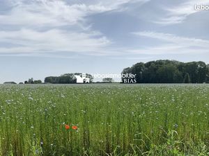 Terrain 526 m² Yvetot