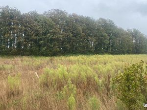 Terrain agricole ou loisir à vendre
