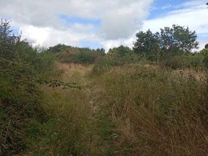 Terrain avec blockhaus sous terre