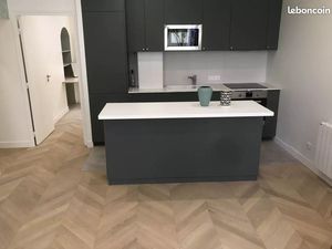 Rare appartement avec Jardin privatif Quartier Saint Louis