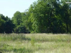 Terrain agricole sennecey le grand