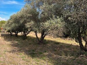 Terrain viabilise de 447 m2 a lezignan la cebe