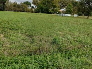 Vends terrains constructible