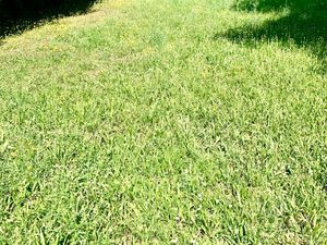 Belle Parcelle Ecully